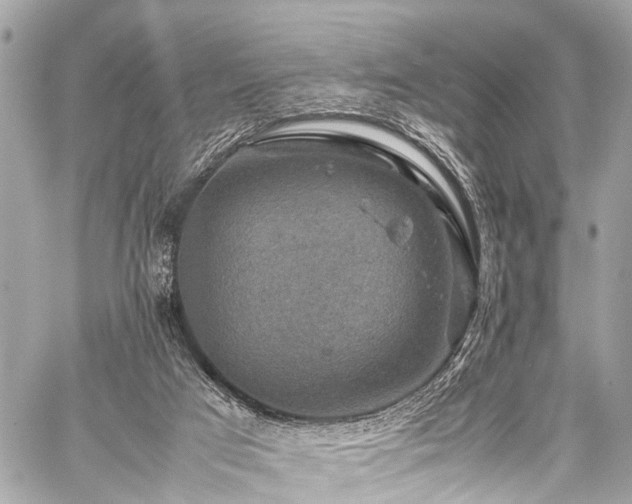 X0000059250017200510171509