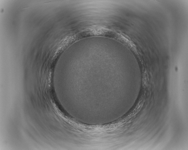 X0000059250018200510171509