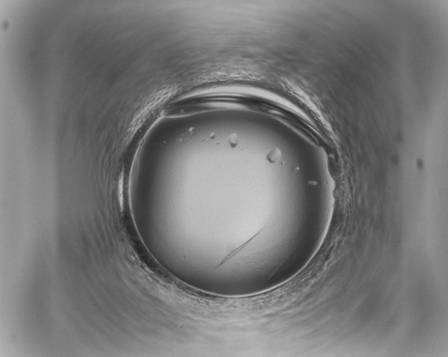 X0000059250019200510171509