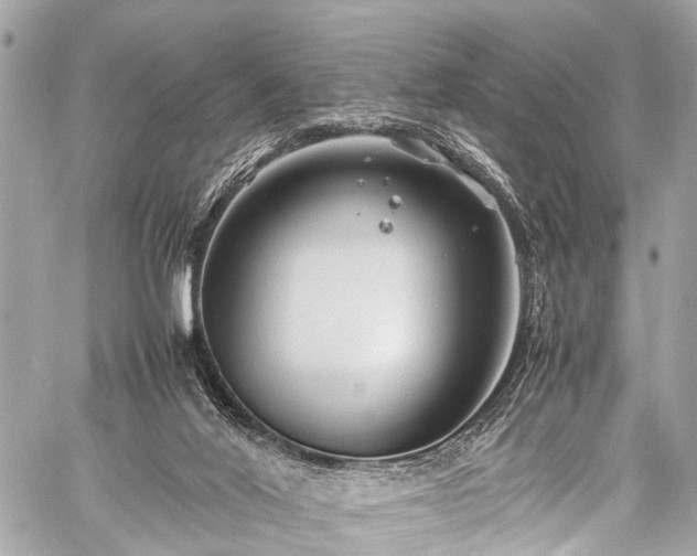 X0000059250020200510171509