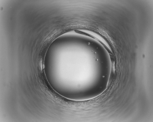 X0000059250021200510171509