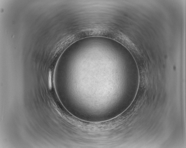 X0000059250022200510171509