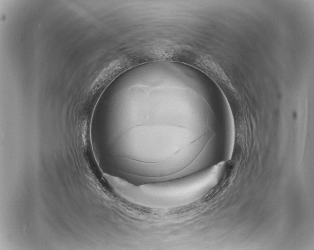 X0000059250023200510171509