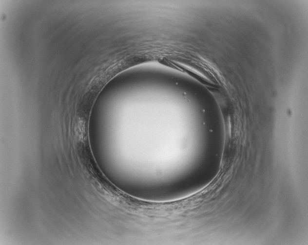 X0000059250025200510171509