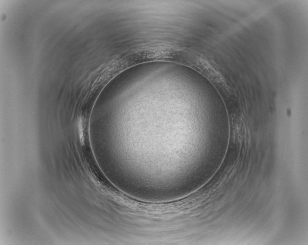 X0000059250026200510171509