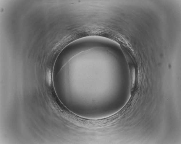 X0000059250027200510171509