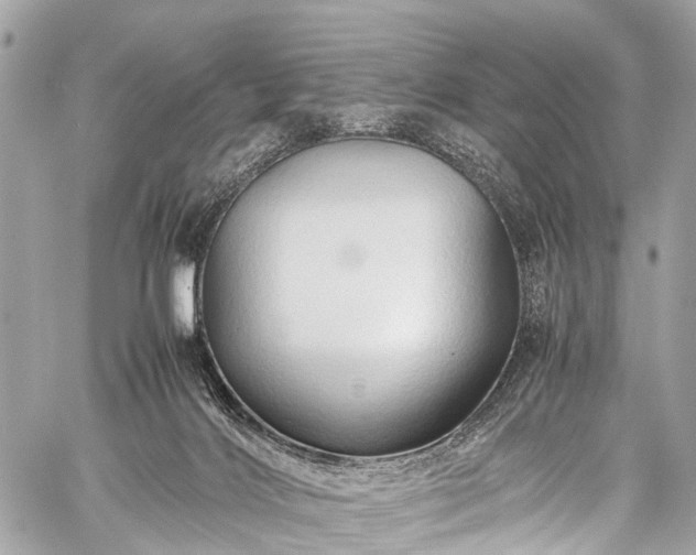 X0000059250028200510171509