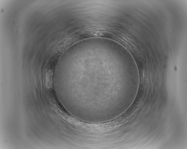 X0000059250030200510171509