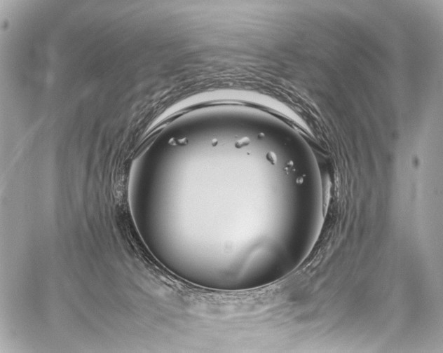 X0000059250033200510171509