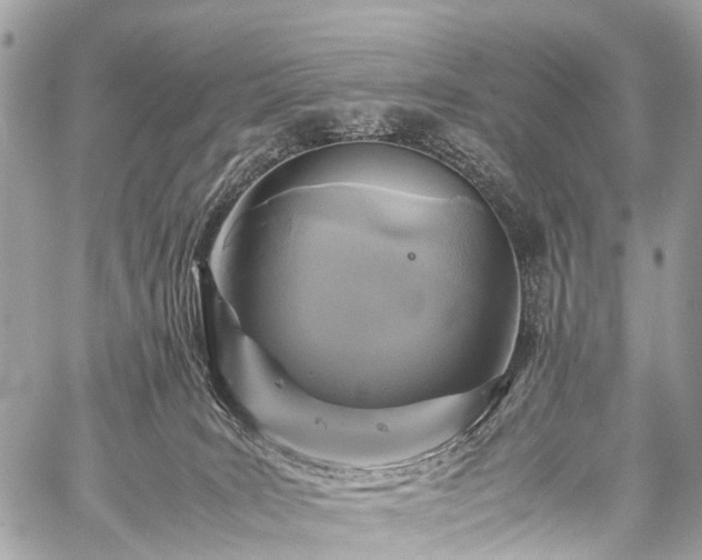 X0000059250035200510171509