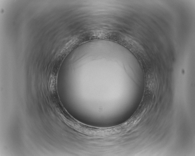 X0000059250036200510171509