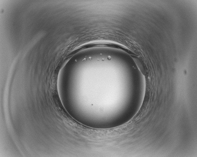 X0000059250037200510171509