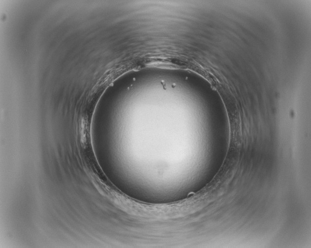 X0000059250038200510171509