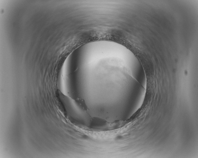 X0000059250039200510171509