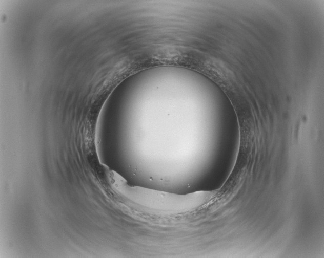 X0000059250040200510171509