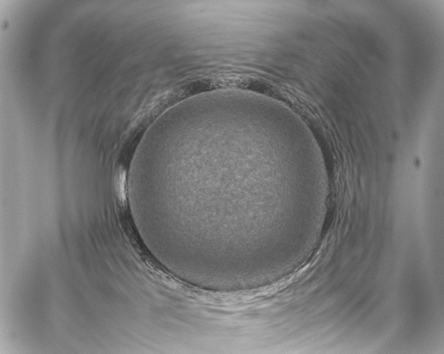 X0000059250041200510171509