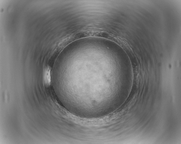 X0000059250042200510171509