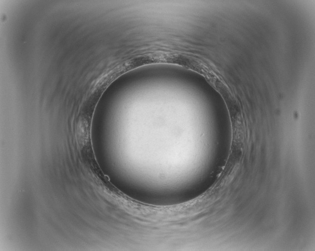 X0000059250043200510171509