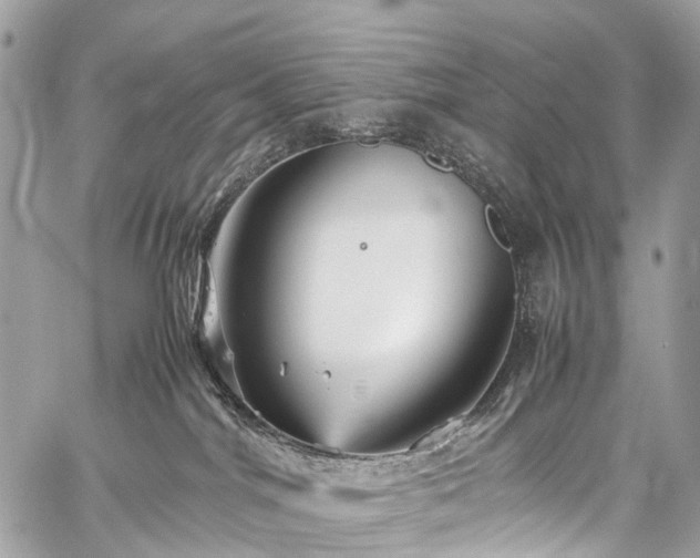 X0000059250044200510171509