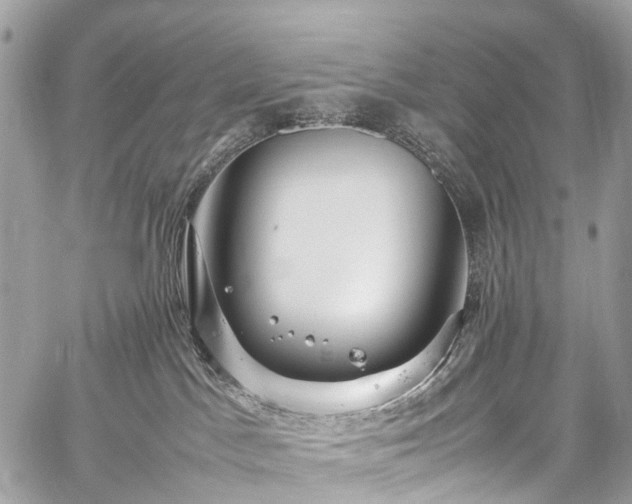 X0000059250045200510171509