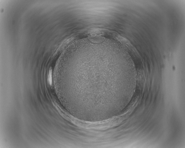 X0000059250046200510171509