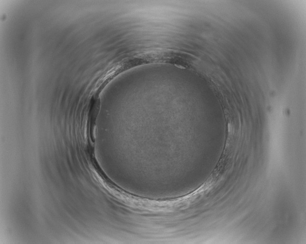 X0000059250048200510171509