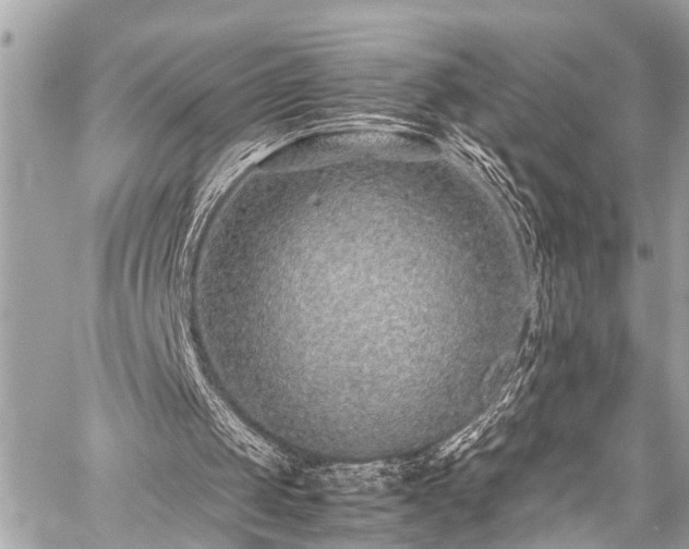 X0000059250049200510171508