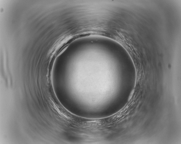 X0000059250050200510171508