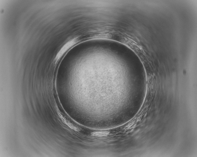 X0000059250051200510171508