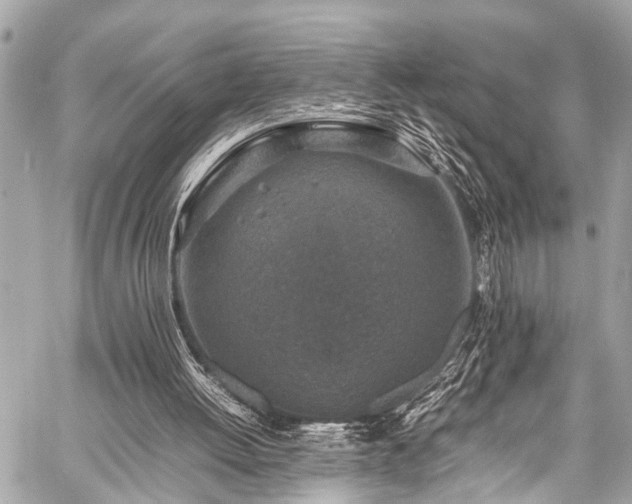 X0000059250052200510171508