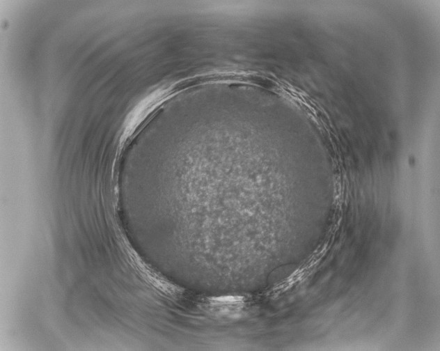 X0000059250053200510171508