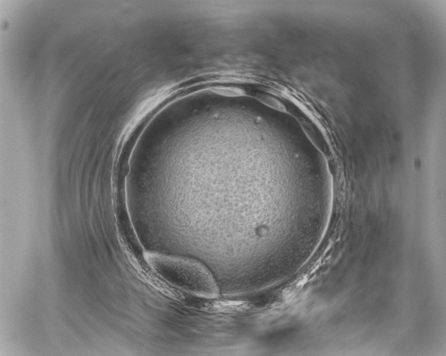 X0000059250055200510171508