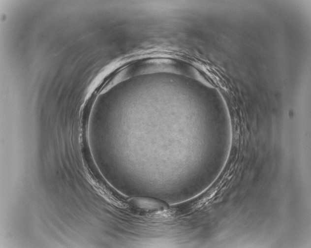 X0000059250056200510171508