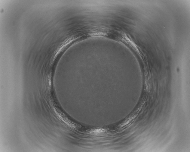 X0000059250059200510171508