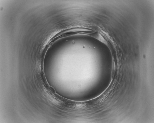 X0000059250060200510171508