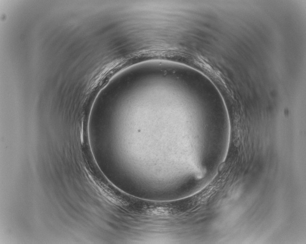 X0000059250062200510171508