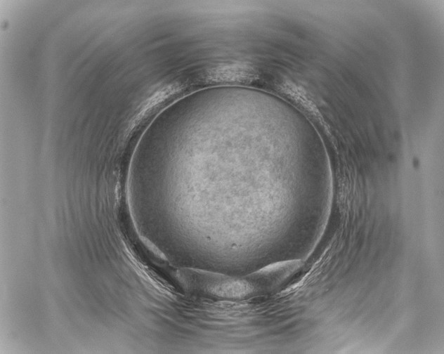 X0000059250063200510171508