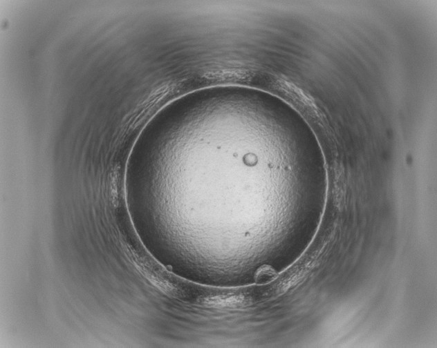 X0000059250065200510171508