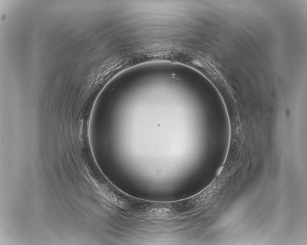 X0000059250066200510171508