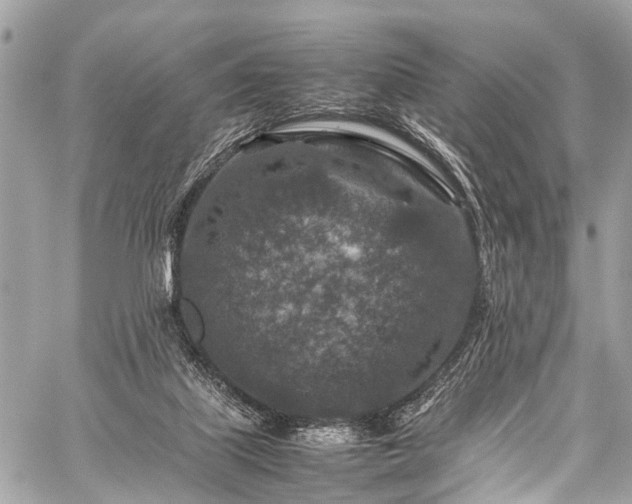 X0000059250067200510171508