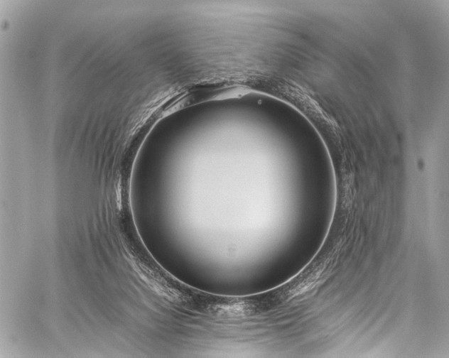 X0000059250068200510171508