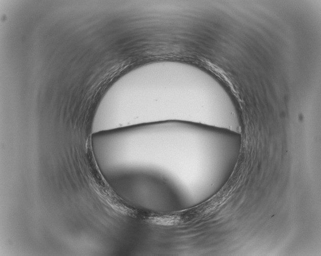 X0000059250069200510171508