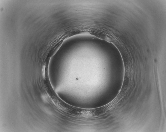 X0000059250070200510171508