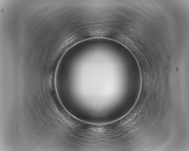 X0000059250071200510171508