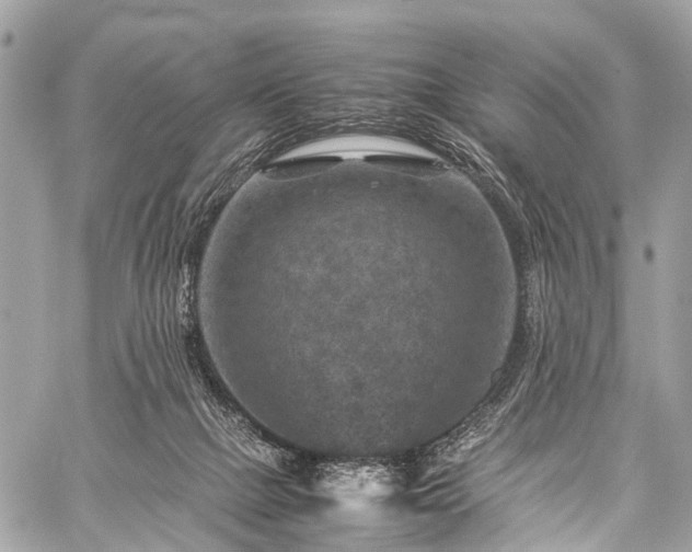 X0000059250073200510171508