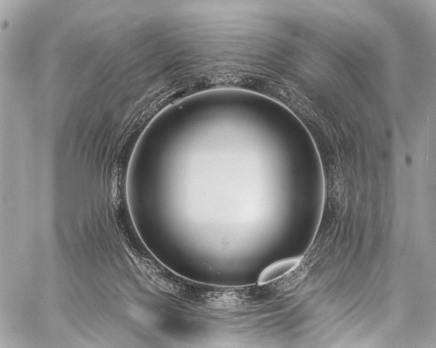 X0000059250074200510171508