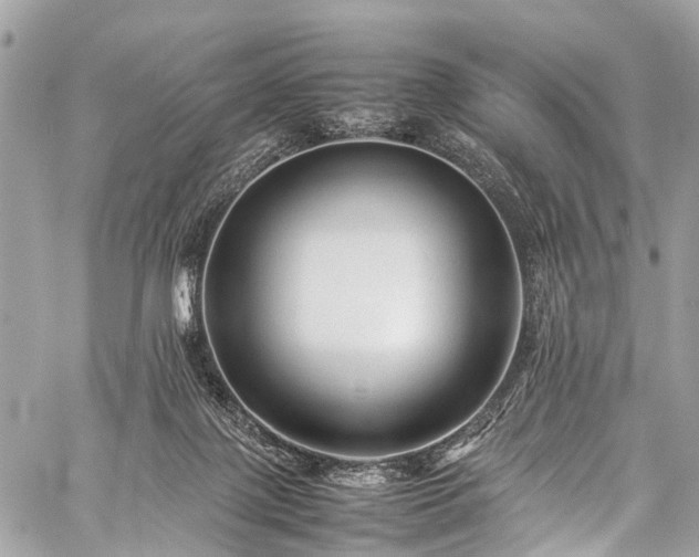 X0000059250075200510171508