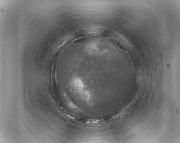 X0000059250076200510171508