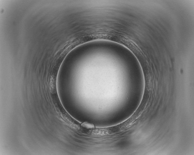 X0000059250077200510171508