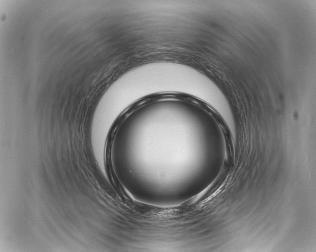 X0000059250078200510171508